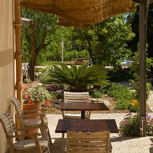 https://home-hotel-the-pink-pepper-tree.allmallorcahotels.com